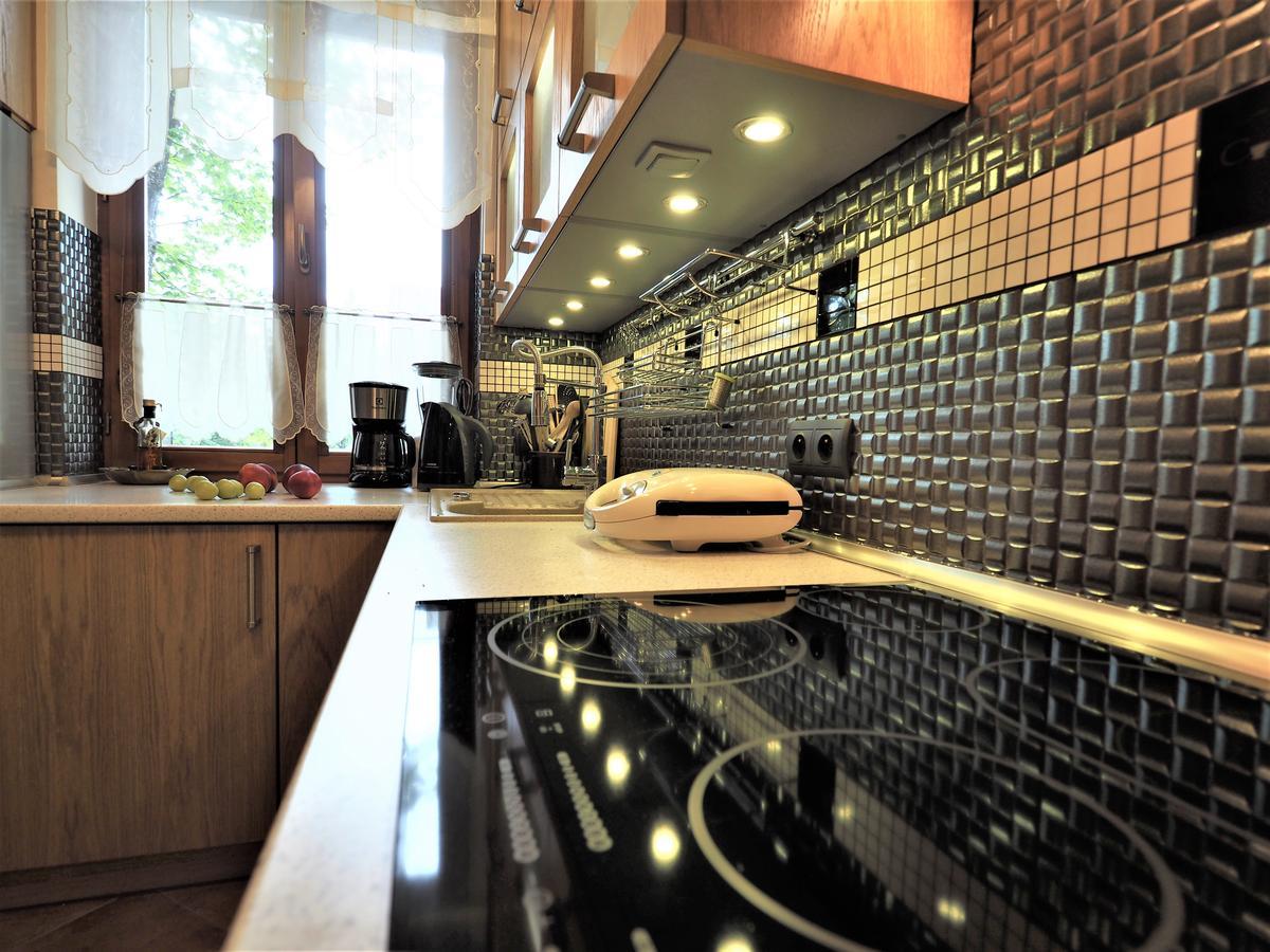 Vip Apartamenty Tetmajera Centrum 2 Zakopane Luaran gambar